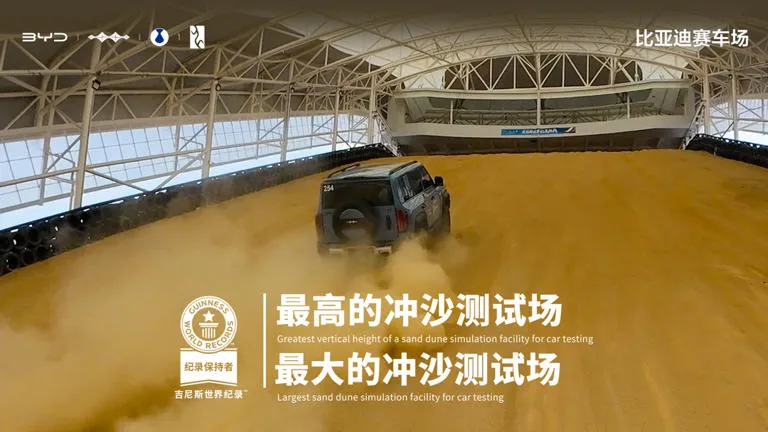TOP助手软件下载：未来国产民营汽车品牌将只剩2-5家，比亚迪崛起成主导力量