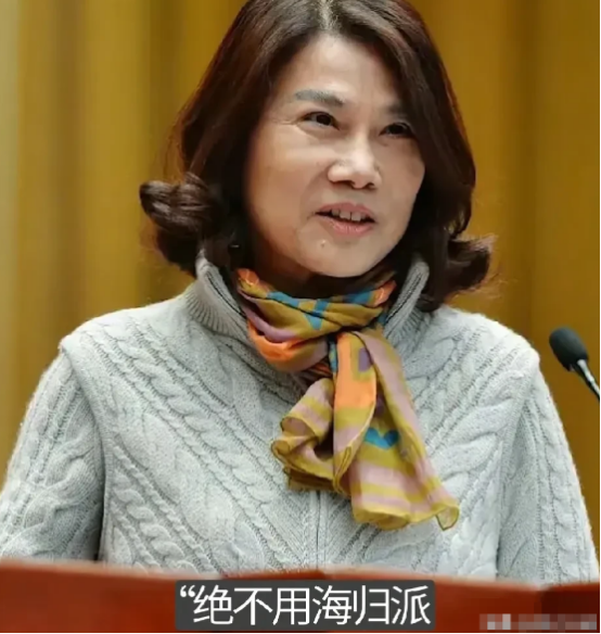 多多精灵：刘爽回应董明珠海归言论，呼吁道歉引发广泛讨论与争议