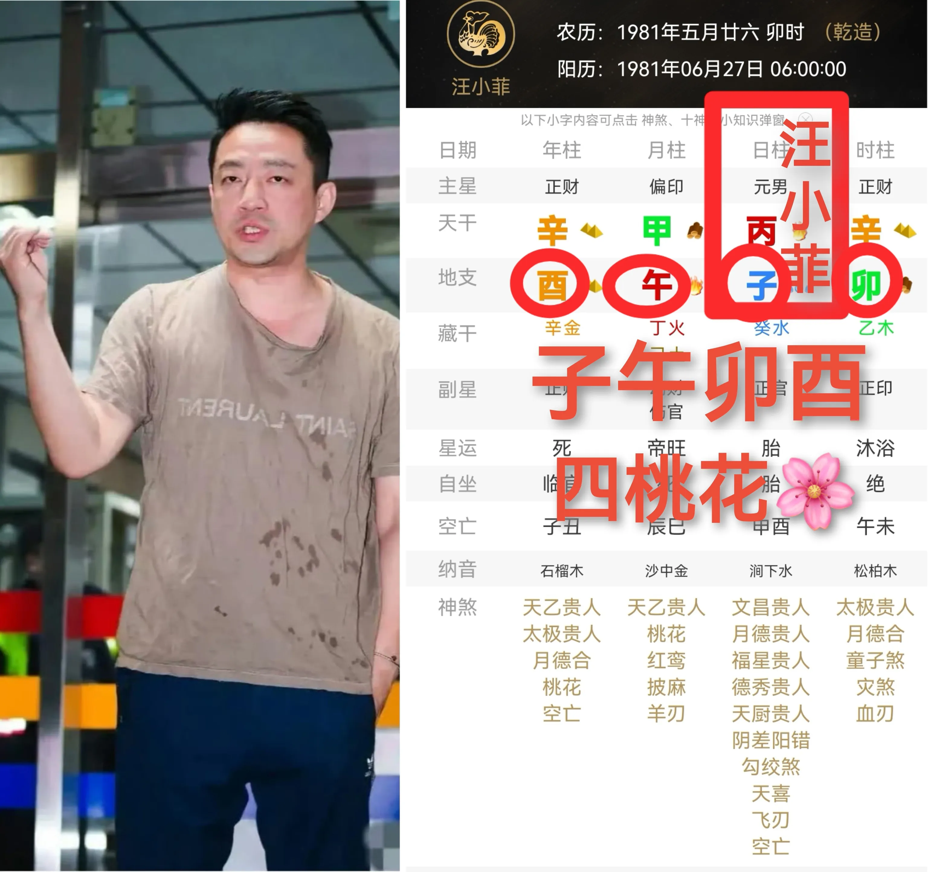 茄子助手使用方法：电商直播带货，揭秘董宇辉、李佳琦与辛巴的财富秘密