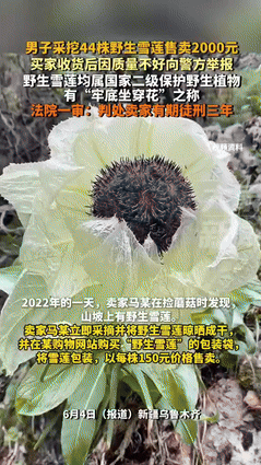 小评助手教程：新疆男子非法采摘44株雪莲被判刑三年，生态保护警示教育启示