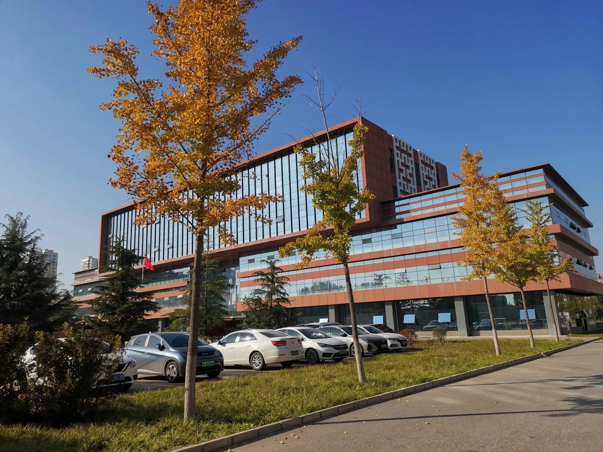 小Q助手：平衡工作与生活，教书育人的幸福之道与副业发展建议