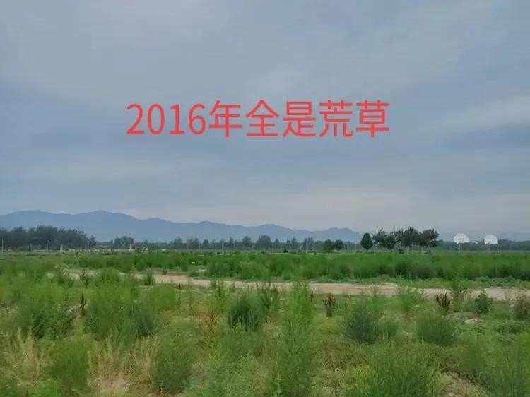 星评助手：海淀大悦城开业，见证九年间北京生活的巨变与发展