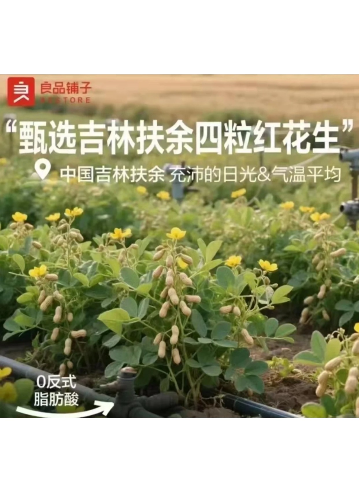 粉团助手：AI时代，如何避免“无意义工作”被替代的营销启示