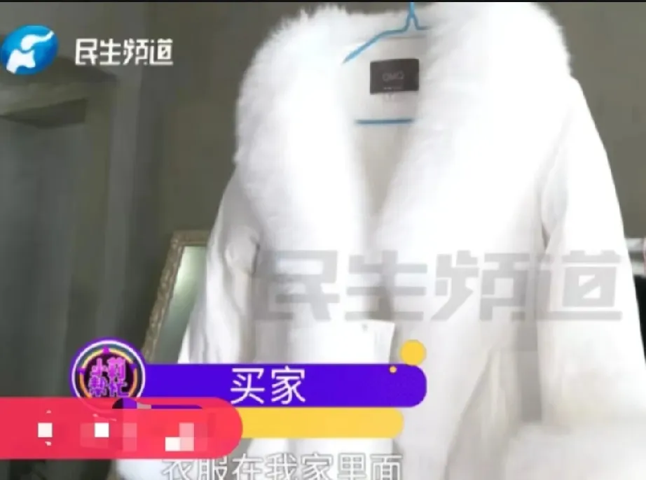 语音助手：女子网购后仅退款不退货引发的法律与道德争议