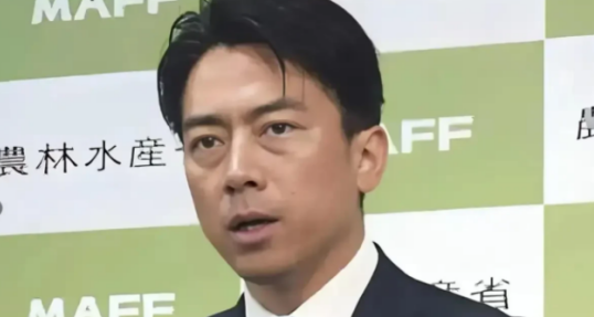 51助手官网：日本自卫队宣言引发海峡稳定争议，国际社会反应强烈