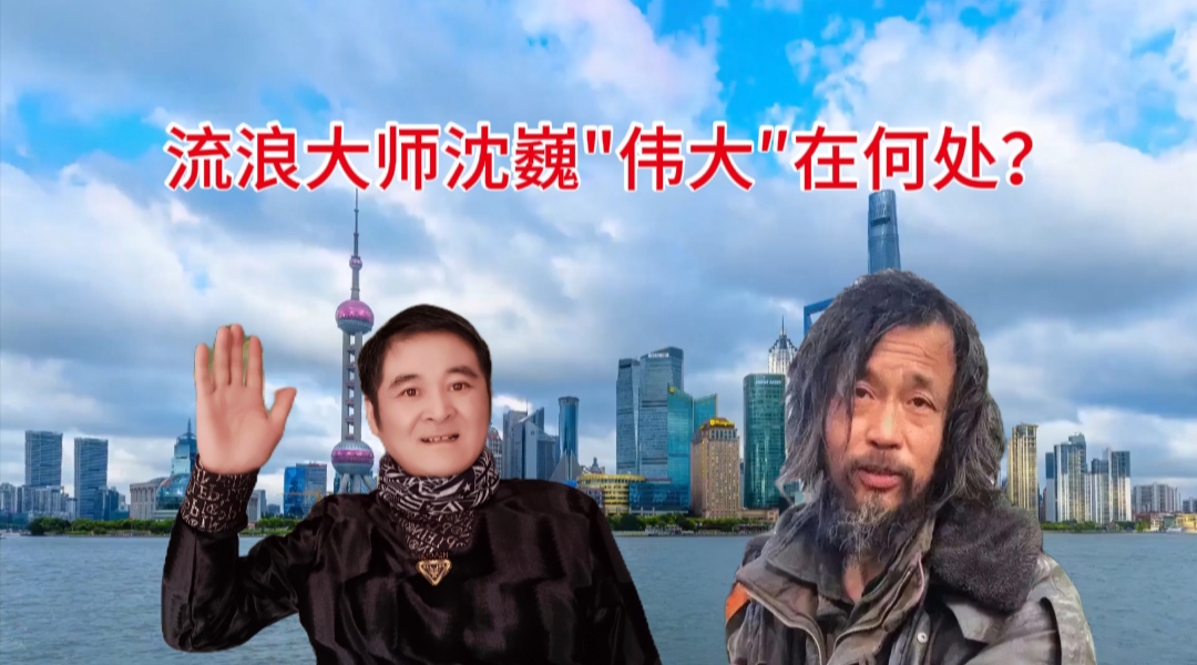 拼多多出评神器软件官网：流浪大师沈巍，从逆境中汲取智慧与坚持的启示