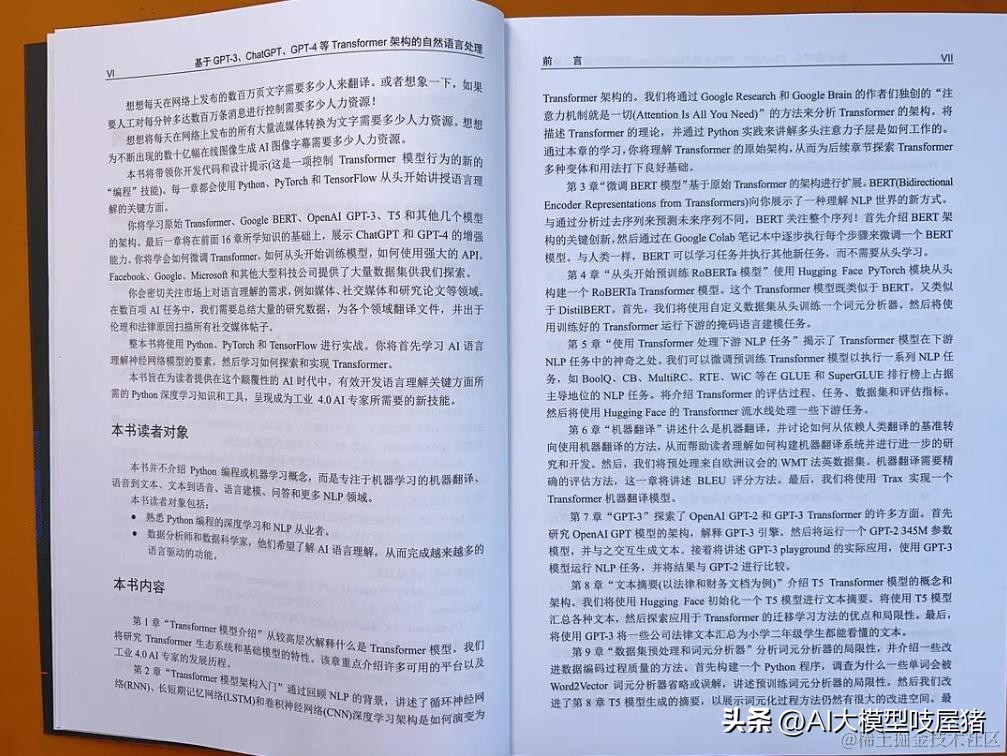 小评评助手补单软件：解锁Transformer架构，掌握GPT-3、ChatGPT、GPT-4的自然语言处理新技巧