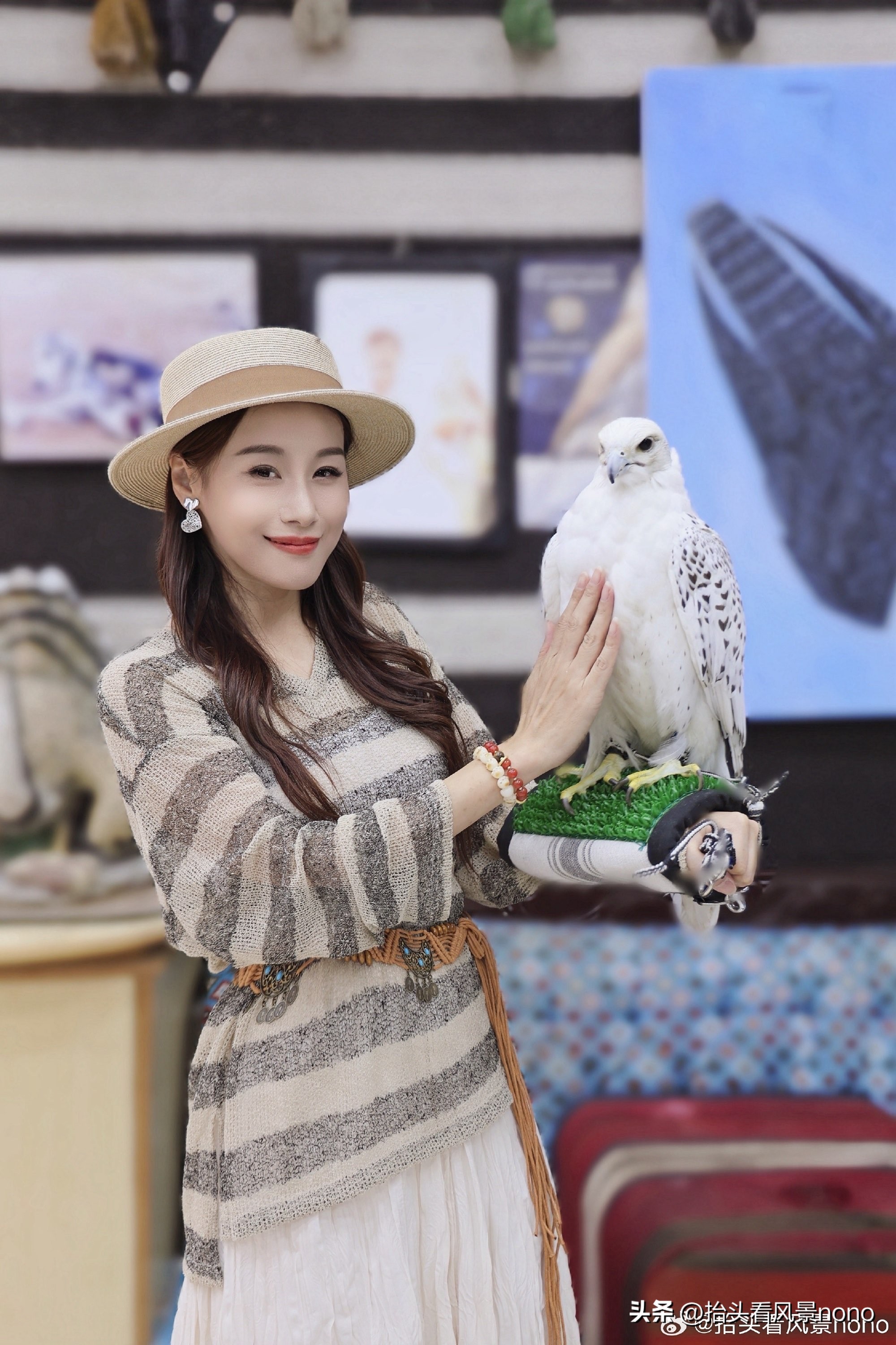小Q助手使用方法：多哈瓦基夫集市，体验卡塔尔的鹰隼文化与日常生活