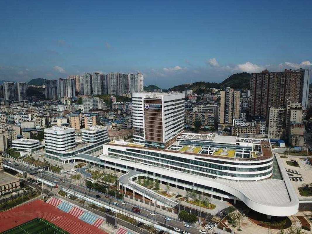 番茄管家网站：医疗行业为何面临挑战，政策改革与市场变化深度解析