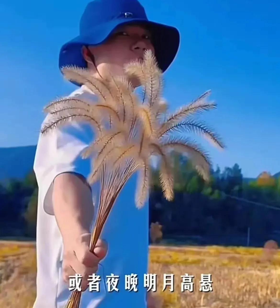 易出评出评软件：易中天与俞敏洪畅聊董宇辉的影响力与中华文化深度分析