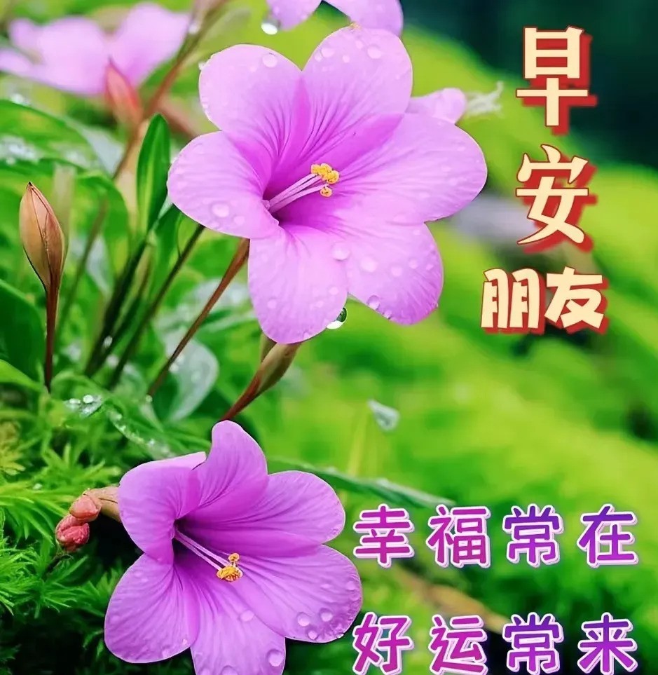 小评评助手软件下载：如何在职场逆境中突围？三个生存法则助你摆脱工具人命运！