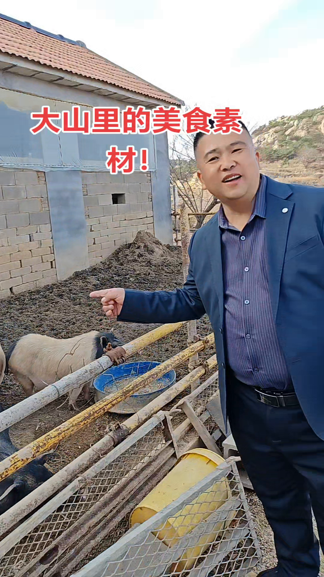 番茄管家：大山里的小香猪美食探索，提升羊肉馆菜品品质的秘密