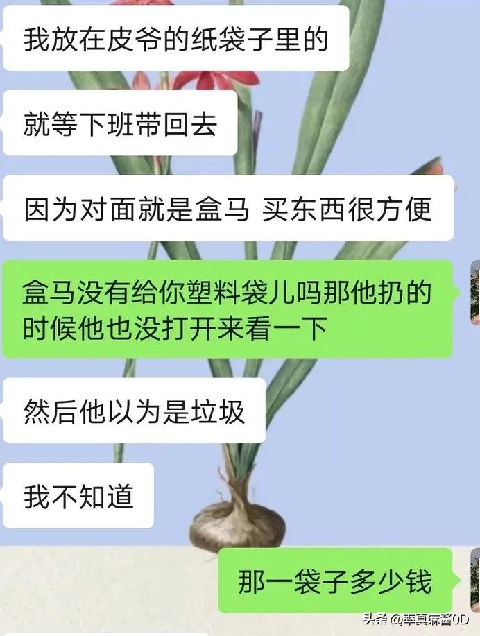 熊猫多多助手：丫头买东西遭盒马误扔，生活不易，过年回家陪孩子成期待