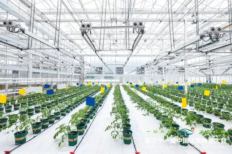 小G助手下载安装：2025年种植业，高附加值经济作物与中药材的投资前景分析