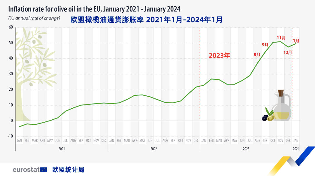 黎明助手入口：电商平台橄榄油打假风暴，王海揭露特级初榨真相，市场亟需监管改革