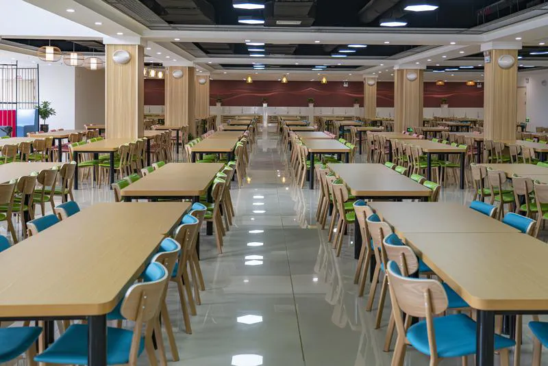 小E助手：食堂临时工的真实生活，一份兼职工作的观察与思考