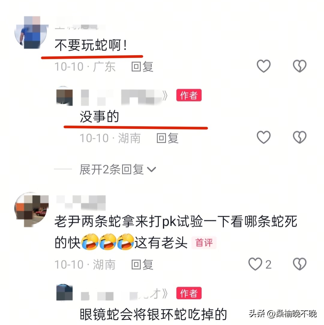 超评助手官网：湖南网红老尹被银环蛇咬后失联，网友早有提醒却未听从