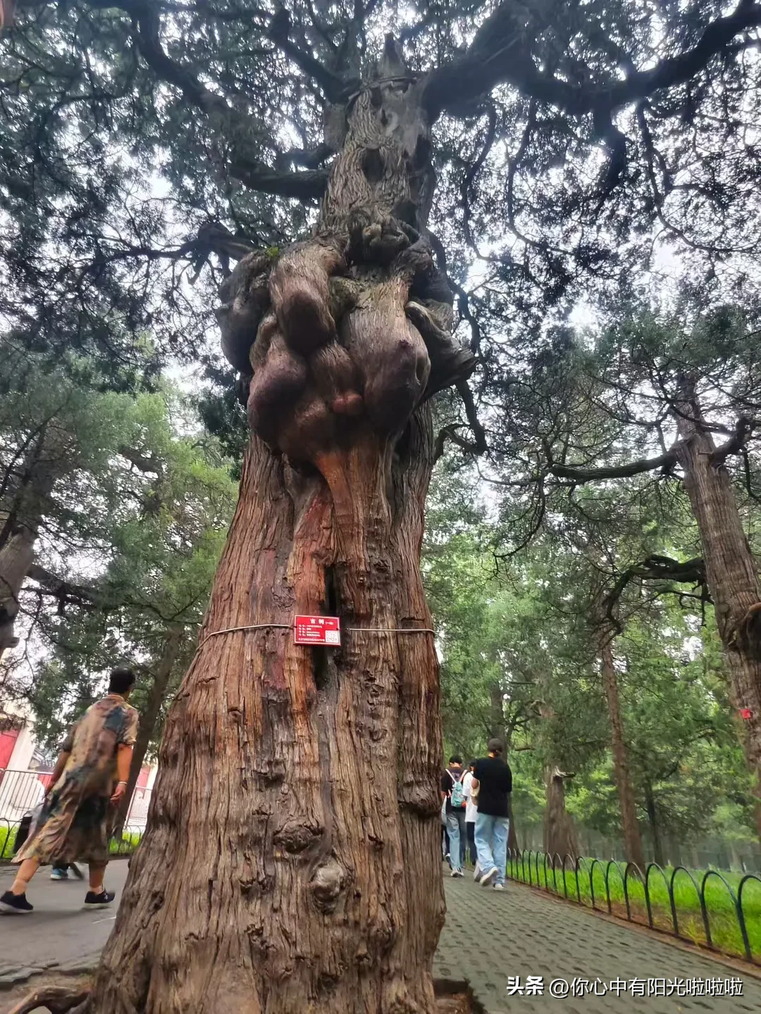 Q助手软件下载：投资理财中的自律与发挥优点，如何找到适合自己的策略