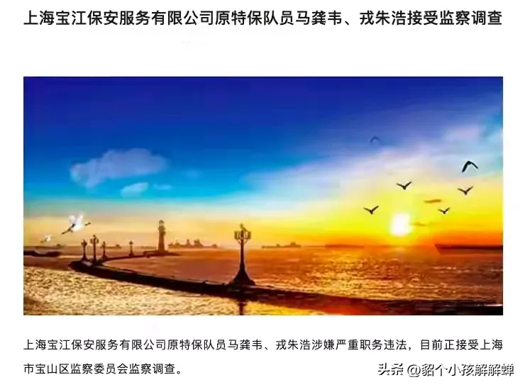 小评评助手教程：保安涉嫌职务违法引发调查，背后真相引人深思