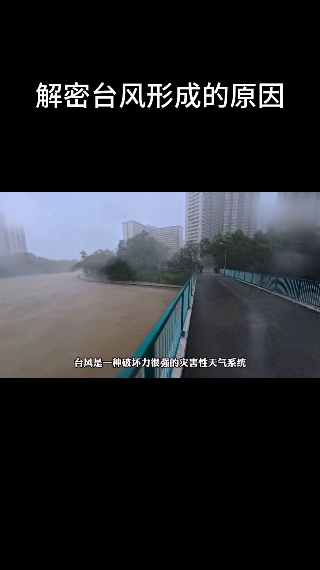 多多出评助手怎么用：台风形成的原因与影响，从低压到强灾害天气的解析