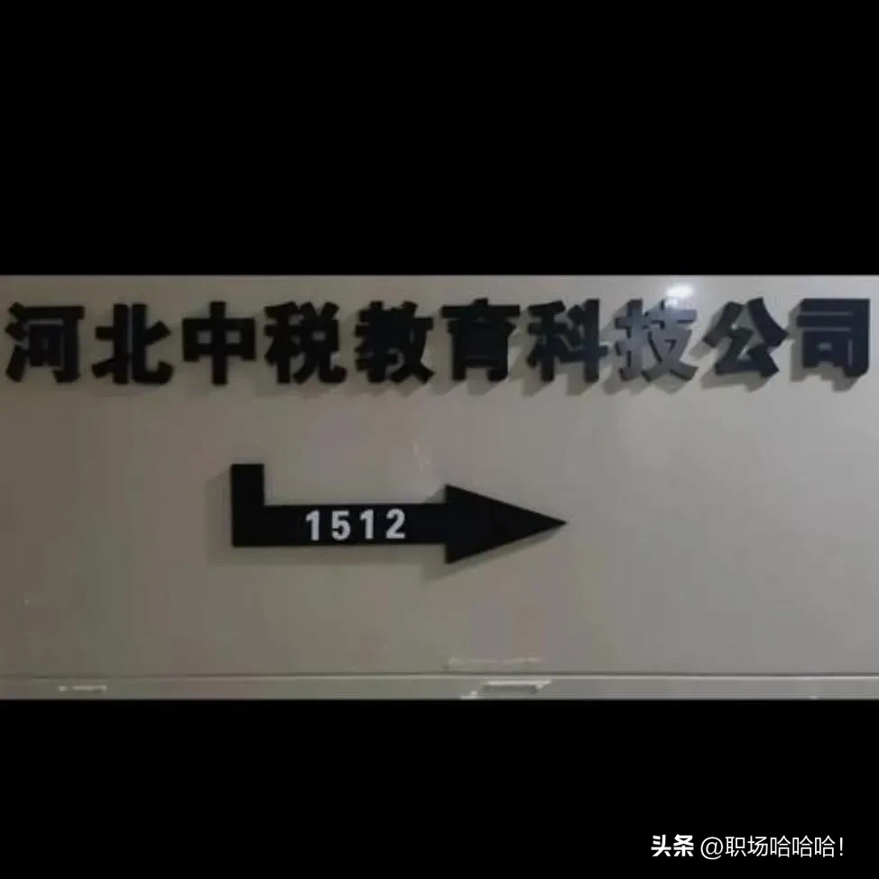 番茄管家软件官网：成功企业的四大特点，如何实现高效决策与管理提升？