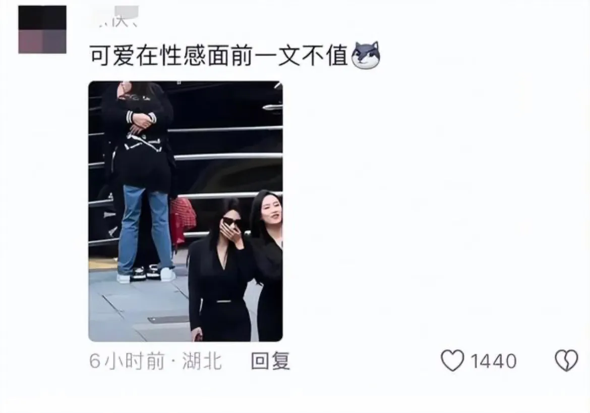 权重大师最新版本：王思聪与女友深拥引热议，可爱与性感的美学讨论
