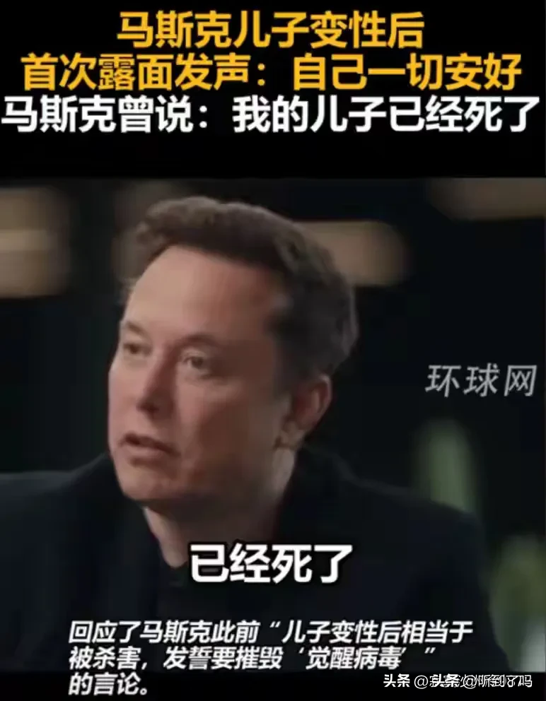 多多自动批发：马斯克的成功背后，家庭、亲子关系与人生的难念之经