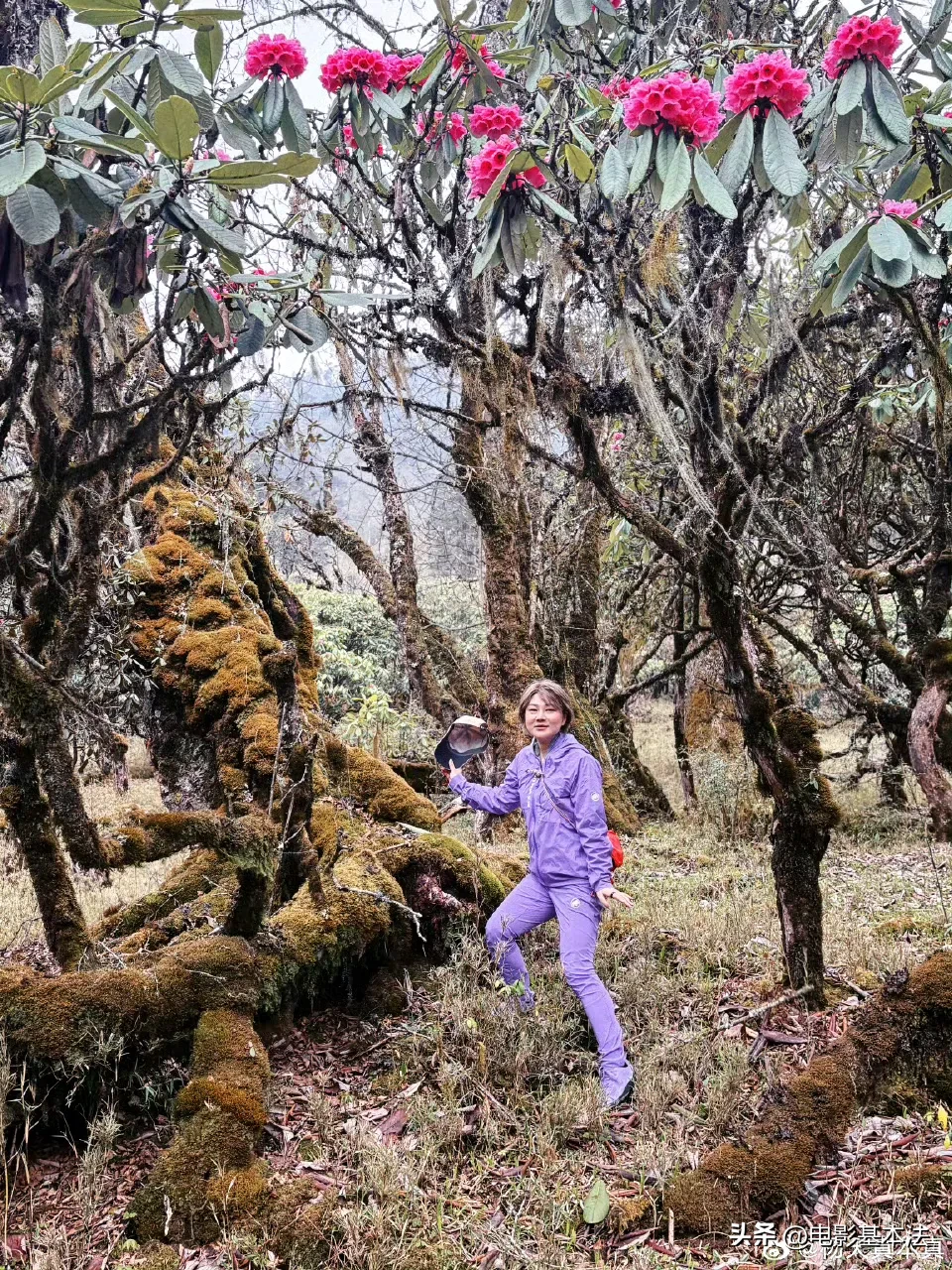 蓝天助手：章泽天与杨天真不丹游玩，亿万富翁妻子的真实生活揭秘
