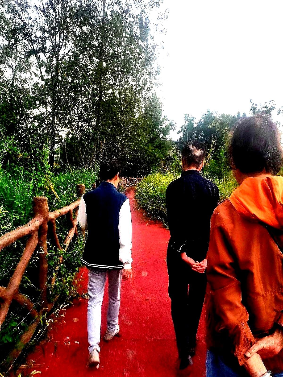 超评助手官网：游客涌入带来的清凉与环境代价，如何平衡经济与生态？