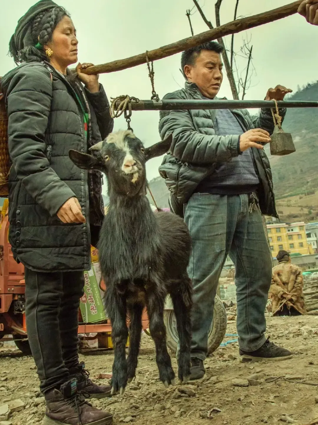 权重大师下载：东方甄选财报亮眼，姜萍竞赛成绩延迟引关注，背后深意值得探讨