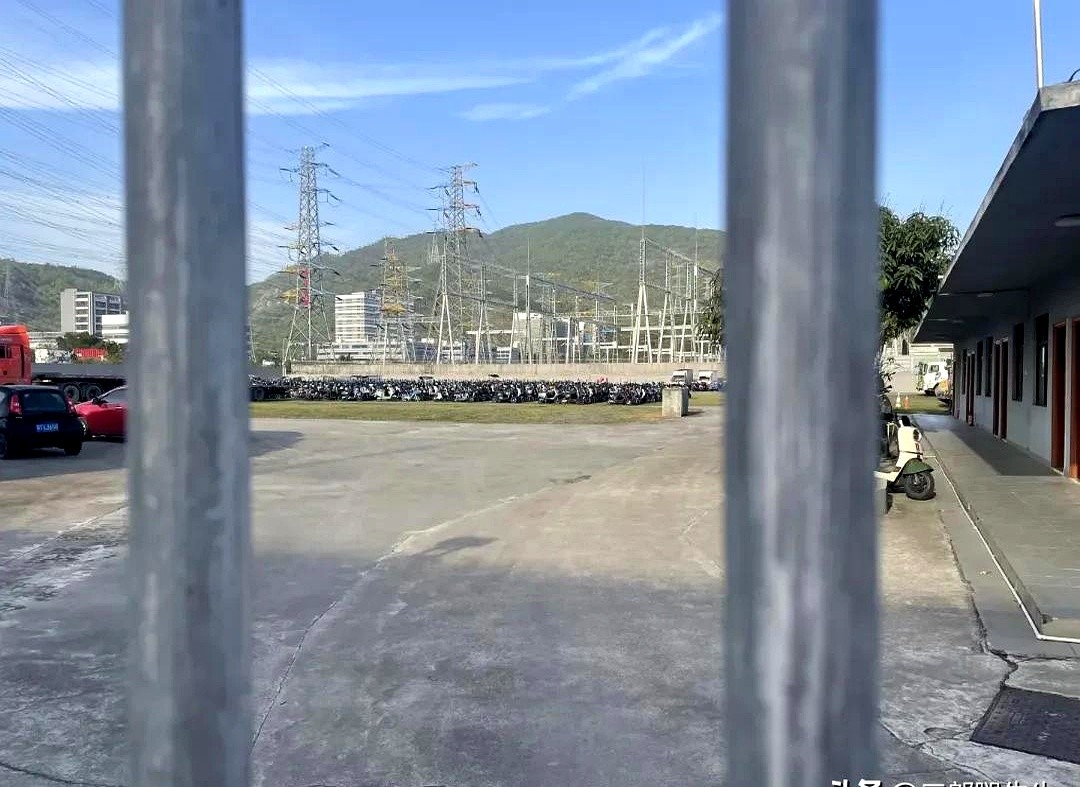 权重大师官网：珠海电动车禁令揭秘，外地游客小心罚款与扣车！