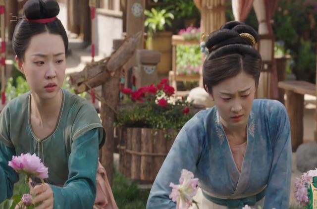 多成团助手：杨紫新剧《繁花似锦》，职场斗争与人性博弈的精彩揭秘