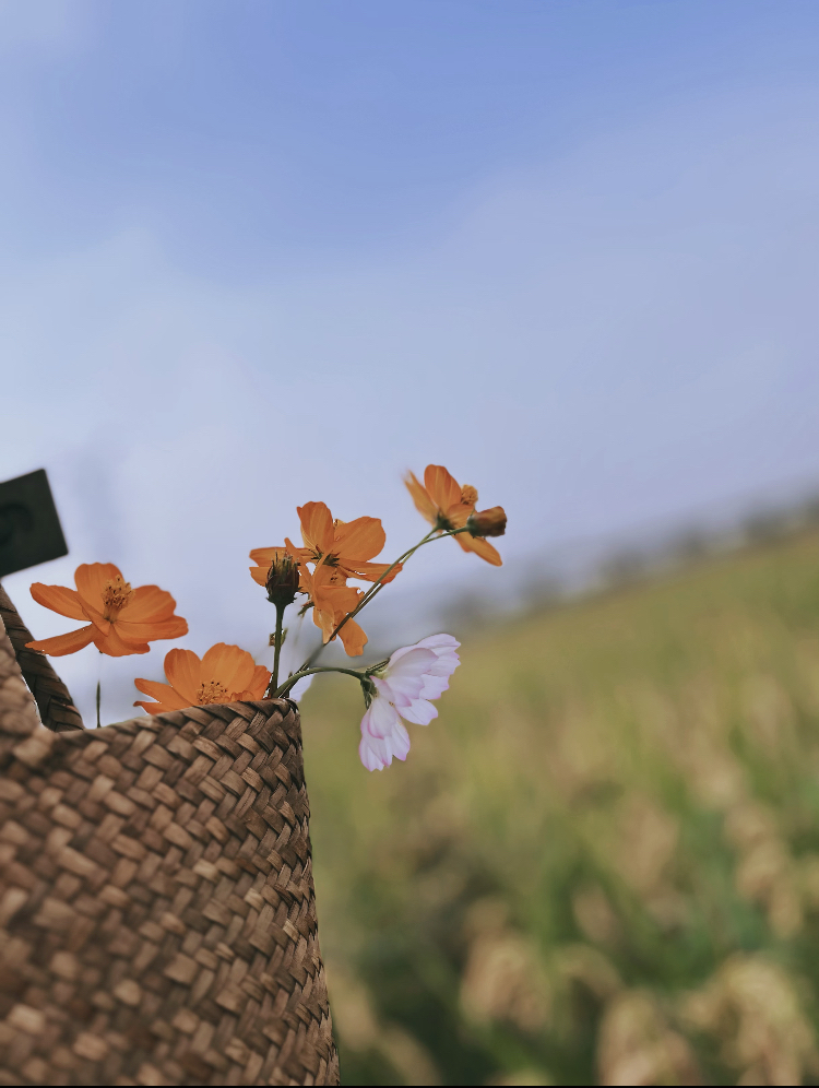 易评助手小号：普通人的辛勤与坚持，生活中的真实温度与尊重