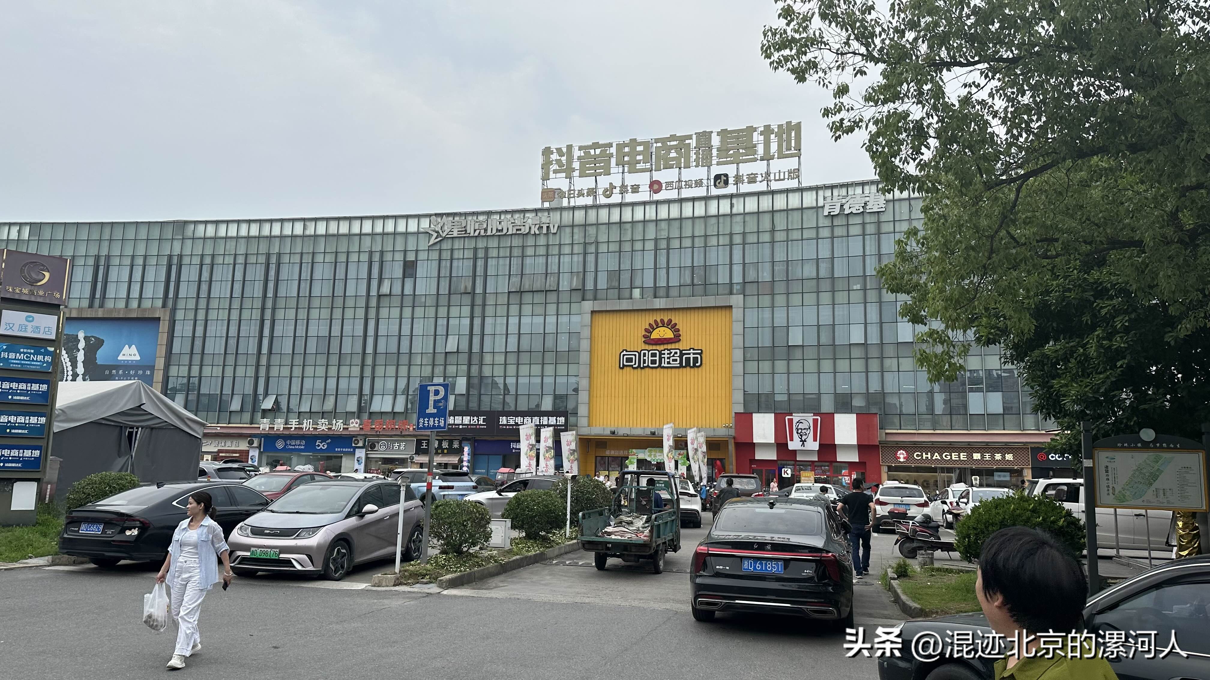 易单助手软件下载：探索诸暨珍珠之都，华东国际珠宝城与枫桥经验的魅力
