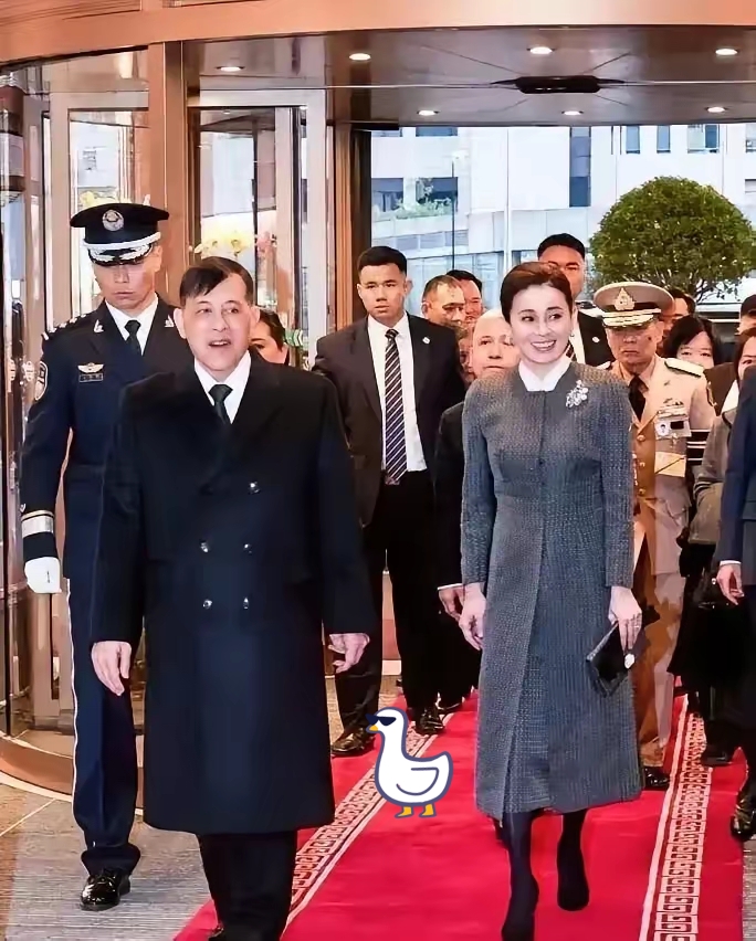 东风助手：中国将采购50万吨泰国大米，稳供应促消费引发国际关注